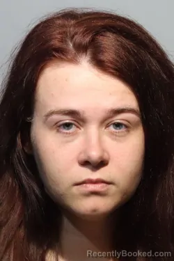 Booking photo from Seminole County, Florida