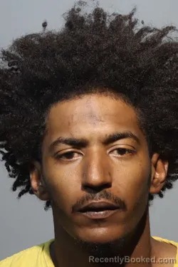 Mugshot of LEE GARCIA SANTIAGO