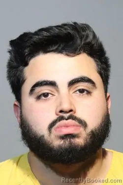 Mugshot of LUIS ALFREDO PEREIRA