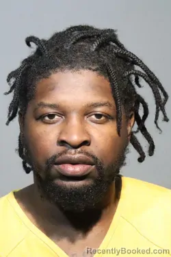 Mugshot of CASEY EVENER FENELON