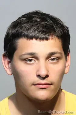 Mugshot of DAVIAN RAFEAL JIMENEZ