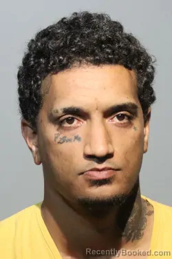 Mugshot of DARRYN DIMITRI OLIVEIRA