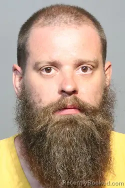 Mugshot of MICHAEL JAMES FERGUSON