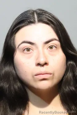 Mugshot of VICTORIA MAYARA SANCHEZ