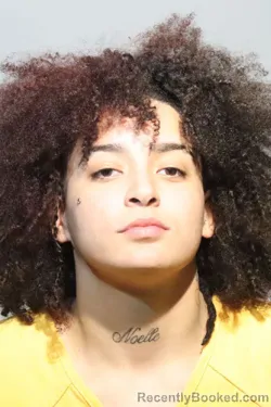 Mugshot of CHLOE CATHERINE ROBINSON