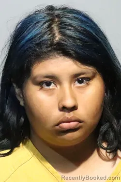 Mugshot of KIMBERLY BETSABETH AJANEL-PENA