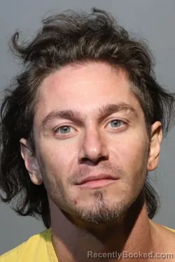 Mugshot of EROL OZTURK