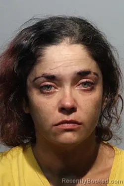 Mugshot of MEGAN ANDREA FRANCESCHI LLERAS