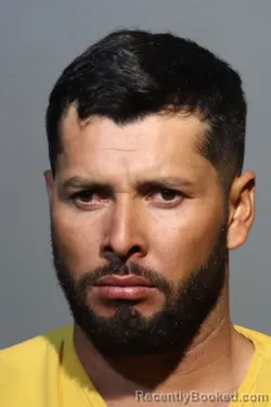 Mugshot of DAVID ARMANDO LOPEZ TORRES