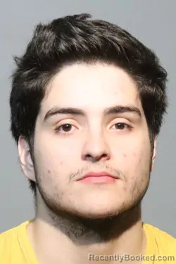 Mugshot of LUIS JAVIER TUDELA GHERSI