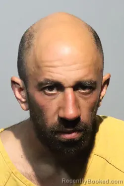 Mugshot of MATEEN JAHANMIRY