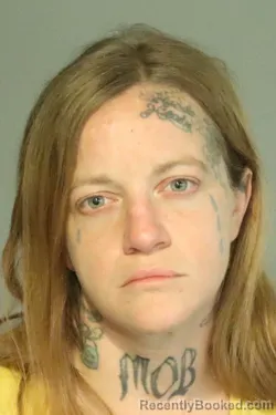Mugshot of ALICIA NEMARIC