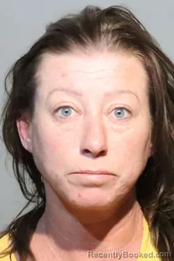 Mugshot of HEATHER HAYES