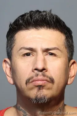 Mugshot of JUAN MANUEL ALVAREZ-GONZALEZ