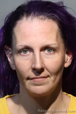 Mugshot of ASHLEY ANNE DYE