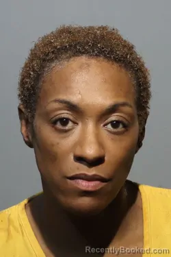 Mugshot of NOEL WILLIAMS