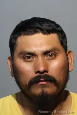 Mugshot of MARVIN DAVID LOPEZ SALES