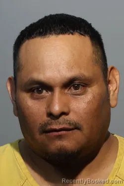Mugshot of NOE GOMEZ SALES