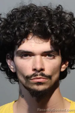 Mugshot of JASON ROSA