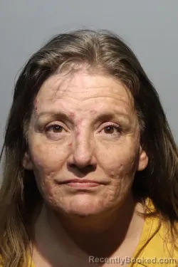 Mugshot of STACIE ELAINE PALMER