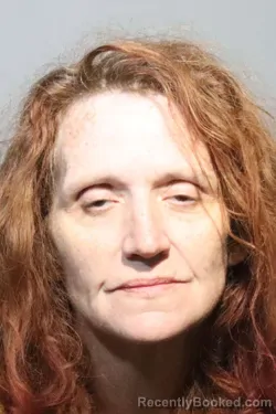 Booking photo from Seminole County, Florida