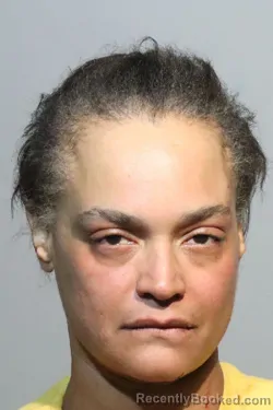 Mugshot of ELIZABETH RIVAS ORTIZ