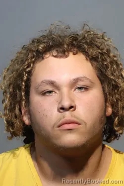 Mugshot of JOSHUA JAVIER RIOS