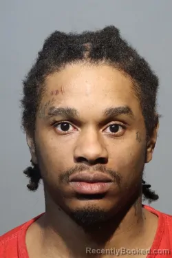 Mugshot of KENJI LOMAX