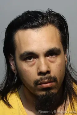 Mugshot of ARMIN ENRIQUE ROSTRAN