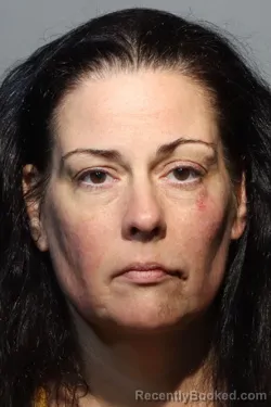 Mugshot of HEATHER LESLIE RAHN