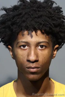 Mugshot of RICKQUAN MITCHELL