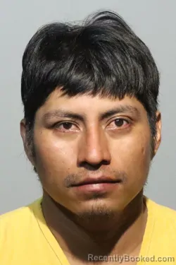Mugshot of CARLOS RUIZ DOMINGO