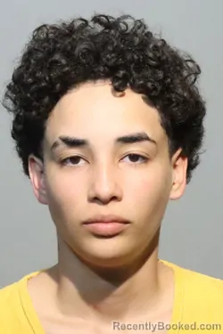 Mugshot of ODALYS MICHELL MONTANEZ TIRADO