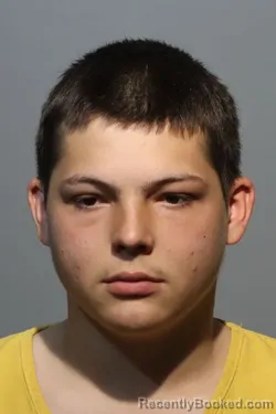 Mugshot of MARK NELSON