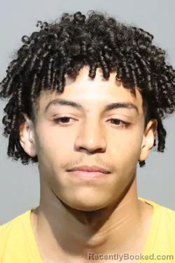 Mugshot of MOUAD ELKHEIR booked in Seminole County, Florida on March 5, 2026