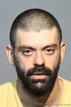 Mugshot of SEPEHR MASOODI ARFAEE booked in Seminole County, Florida on March 5, 2026