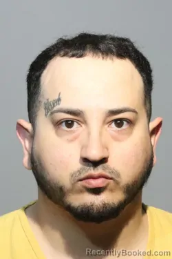 Mugshot of DYLAN ALEXANDER TELLERIA booked in Seminole County, Florida on March 5, 2026