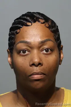 Mugshot of CRYSTAL MARTIN-TIMOLL booked in Seminole County, Florida on March 6, 2026