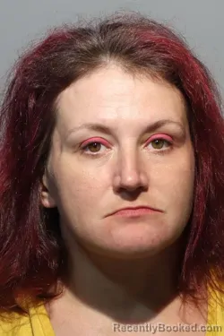 Mugshot of MARGARET ANNE FORD booked in Seminole County, Florida on March 6, 2026