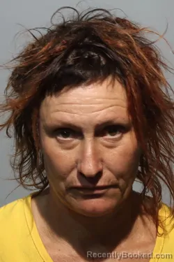 Mugshot of NICOLE LYNN ANDRESCAVAGE booked in Seminole County, Florida on March 6, 2026