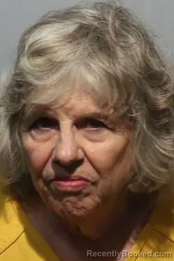 Mugshot of NANCY KAREN BOURBONNAIS booked in Seminole County, Florida on March 7, 2026