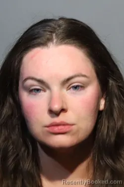 Mugshot of ALISON RENEE WALKER booked in Seminole County, Florida on March 7, 2026