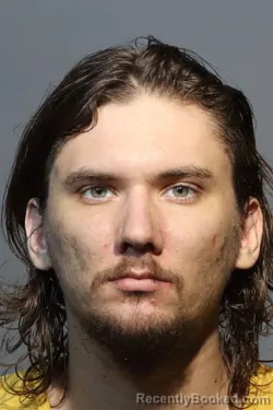 Mugshot of GREGORY MICHAEL BARNES