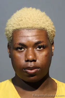 Mugshot of MELIEK JAY SIMMONS