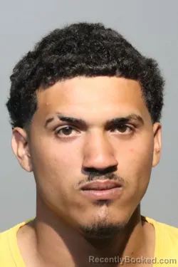 Mugshot of LUIS MANUEL RIVERA GARAY