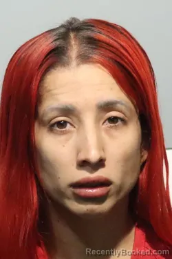 Mugshot of YOUCHARI GONZALEZ-RIVERA