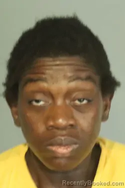 Mugshot of ILEANNA FIELDS booked in Seminole County, Florida on March 10, 2026