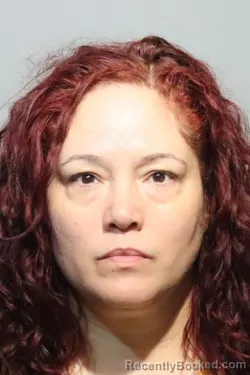 Mugshot of VEVELYN CASTANOS booked in Seminole County, Florida on March 10, 2026