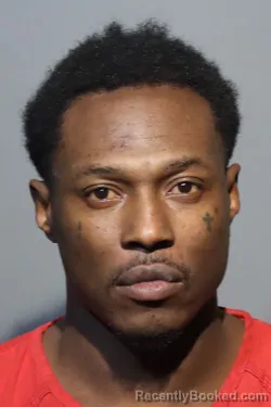 Mugshot of NICO LENNEAR booked in Seminole County, Florida on March 11, 2026