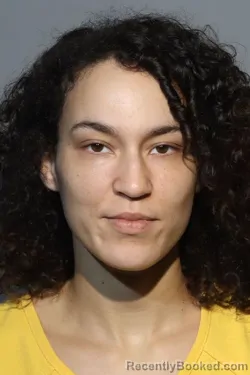 Mugshot of GEORLEANNA NEGRON booked in Seminole County, Florida on March 11, 2026